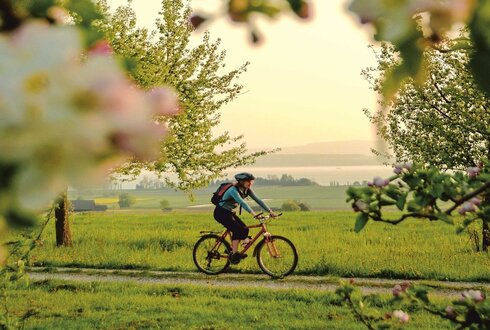 Radtour um den Bodensee