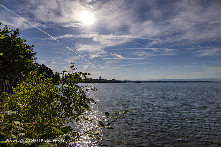 Bodensee mit Sonnenstrahlen – Naturblick bei Friedrichshafen Sonniger Blick über den Bodensee mit grünen Blättern im Vordergrund.