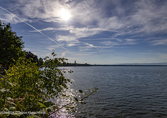 Sonniger Blick über den Bodensee mit grünen Blättern im Vordergrund.